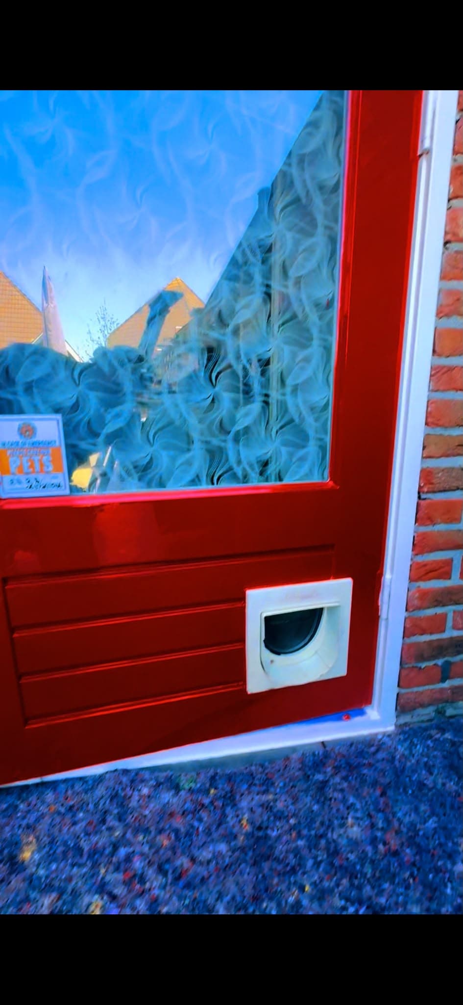 Detailfoto van het brievenbusbeslag op een rode voordeur